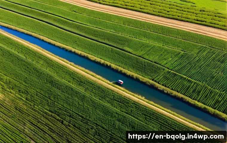 바이오연료 발전과 기후 변화의 영향 - A detailed aerial view of a large-scale biofuel crop plantation showing diverse fields of corn, suga...